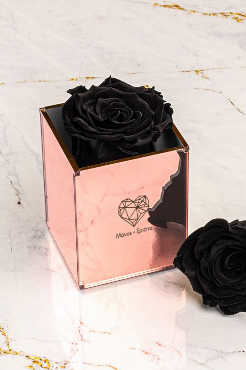 Παντοτινά Τριαντάφυλλα, Forever Rose Pink Gold - Geometric Love