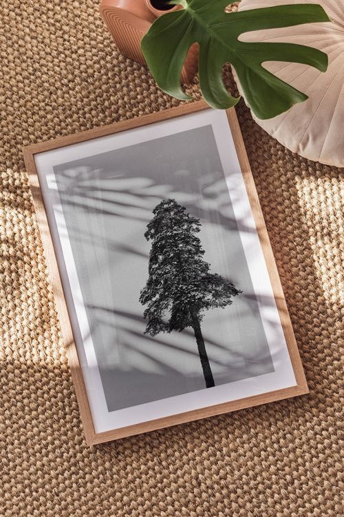 Snowing Tree Premium Poster
