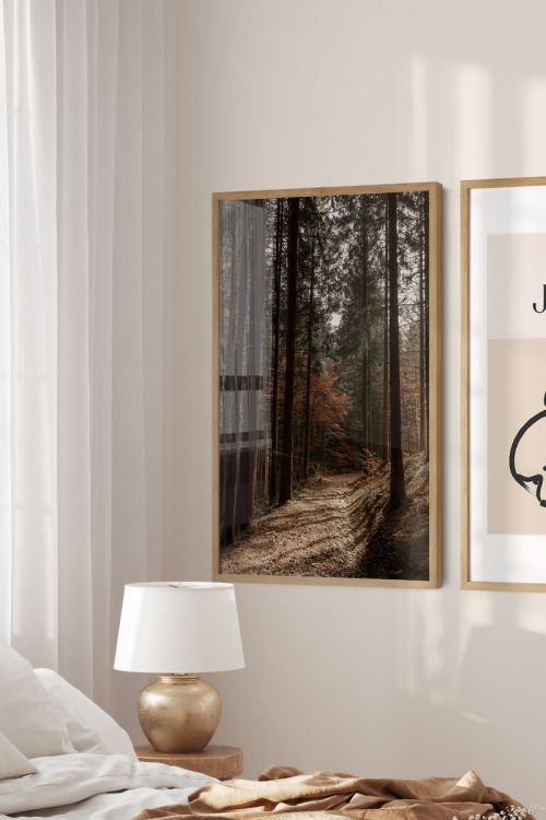 Nature Photography Collection Forest No12 Premium Poster