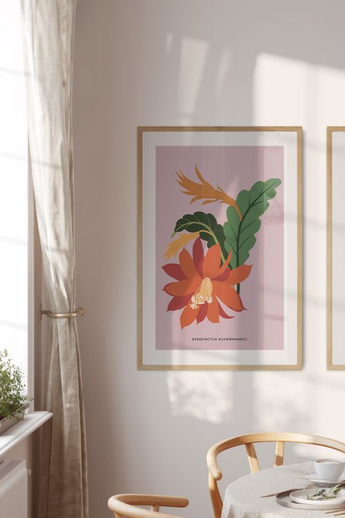 Disocactus Ackermannii Premium Poster