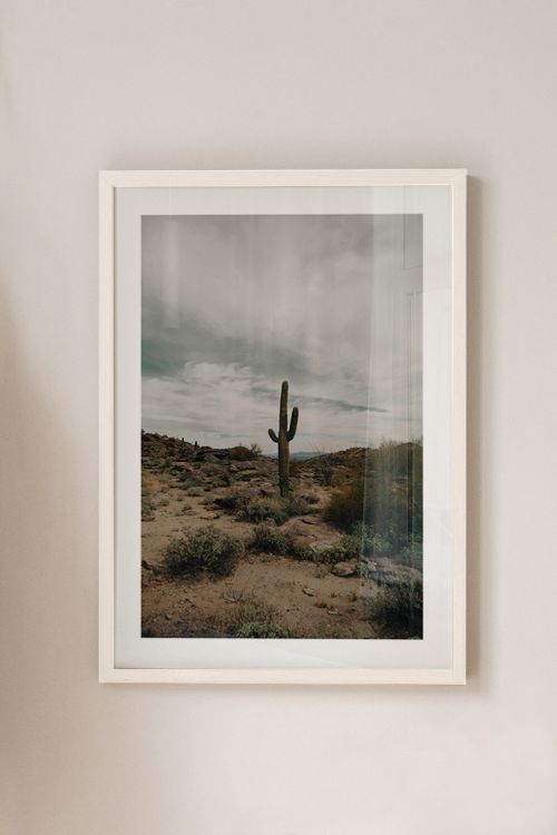 Nature Photography Collection No20 Premium Poster