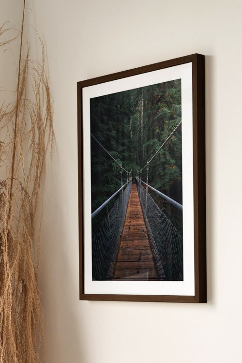 Nature Photography Collection Forest No14 Premium Poster