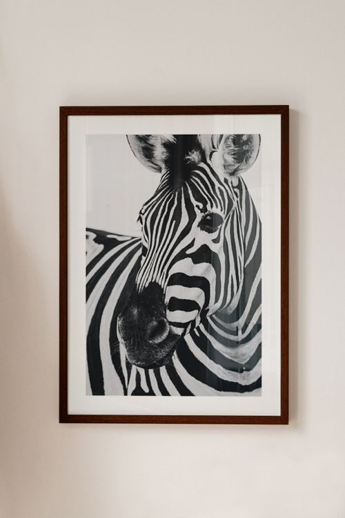 Black And White Zebra Premium Poster