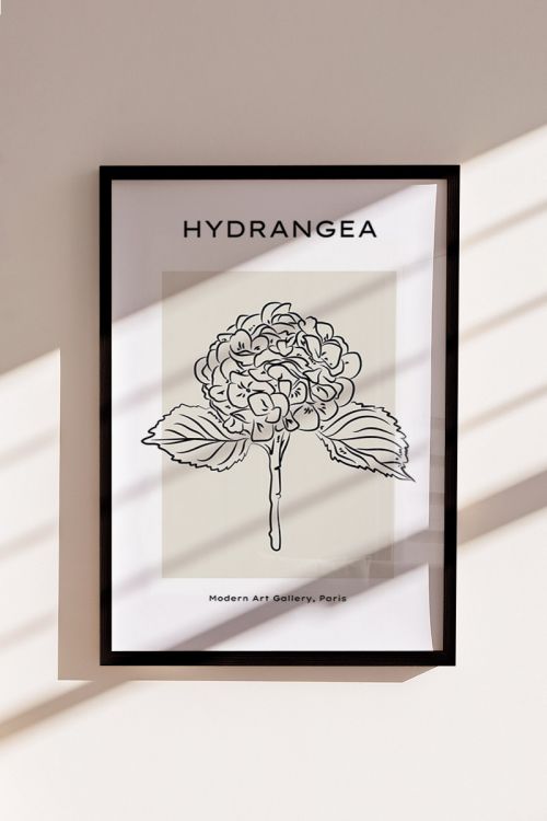 Modern Art Hydrangea No45 Premium Poster