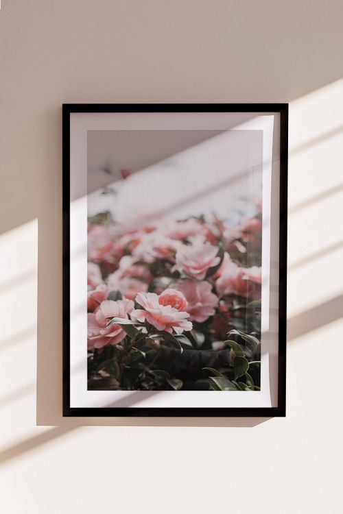 Nature Photography Collection Flowers No1 Premium Poster