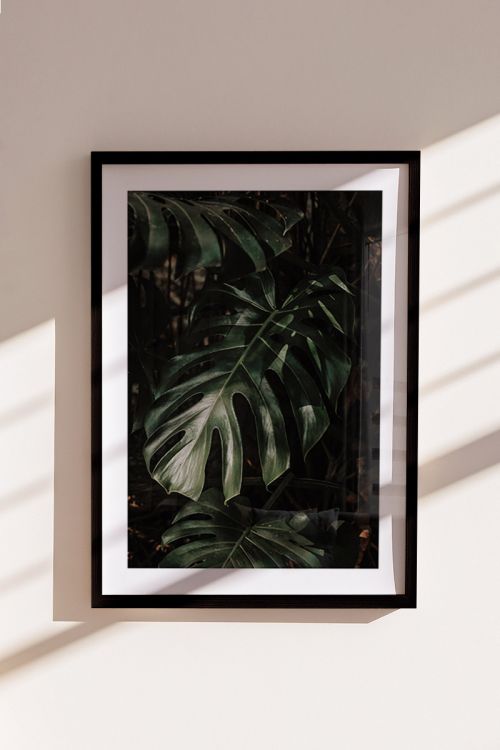Nature Photography Collection Leaves No11 Premium Poster