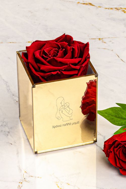 Παντοτινά Τριαντάφυλλα, Forever Red Rose Mirror - Mother Baby