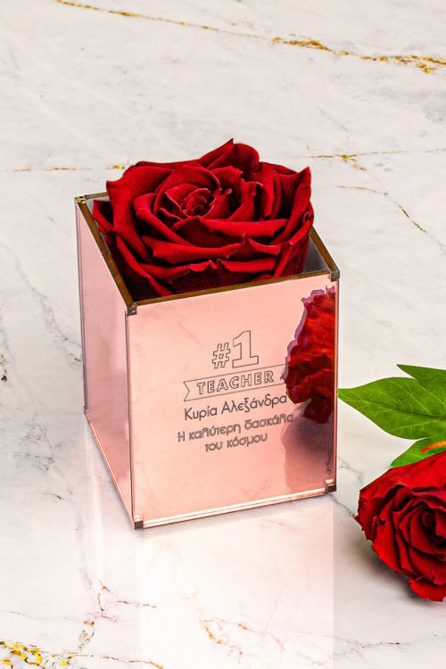 Παντοτινά Τριαντάφυλλα, Forever Rose Pink Gold - Great Teacher
