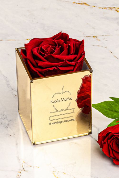 Παντοτινά Τριαντάφυλλα, Forever Red Rose Mirror - Apple Books