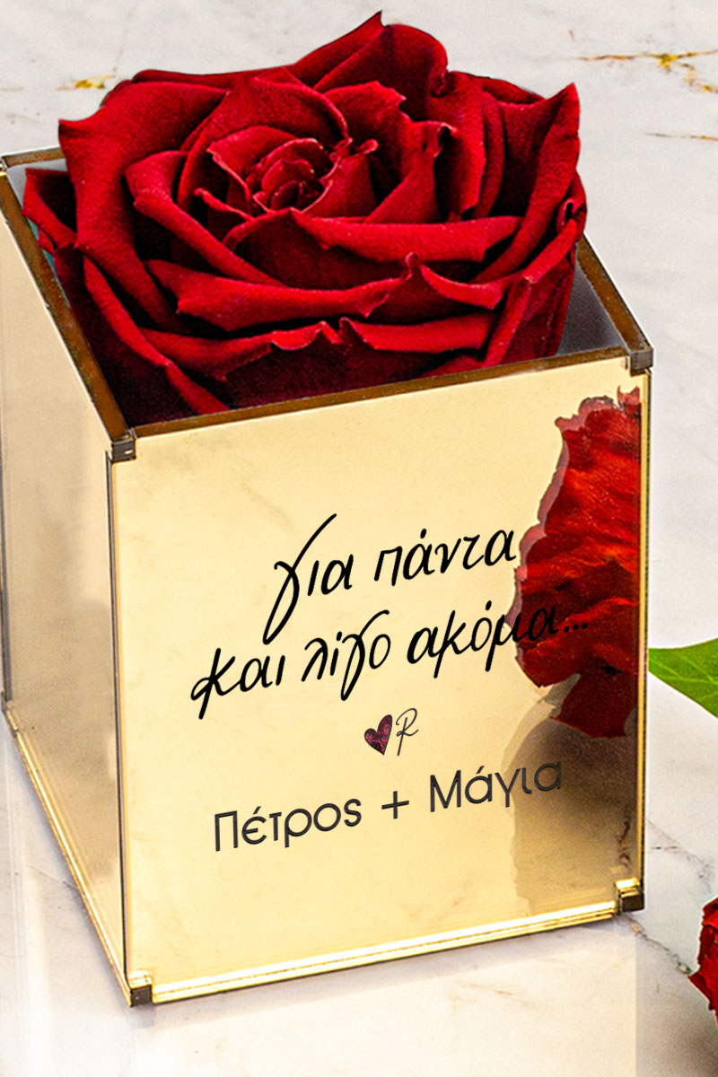 Ρενέ - Παντοτινά Τριαντάφυλλα, Forever Red Rose Mirror
