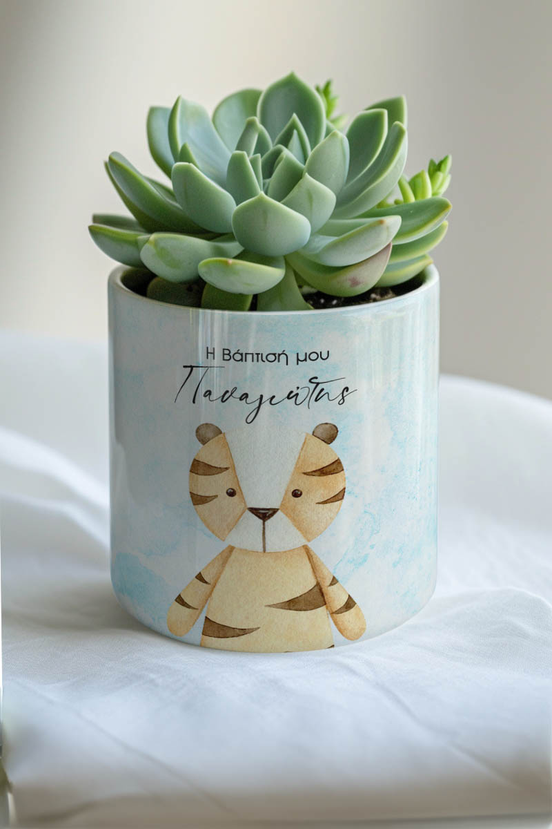 Κασπώ Προσωποποιημένο με Σχέδιο My Bear